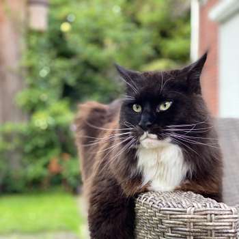 Vorschau von Katja Harders-Harms Tierärztin