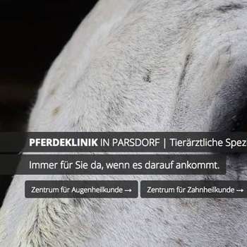 Vorschau von Pferdeklinik in Parsdorf GmbH | Klinik für Pferde | München