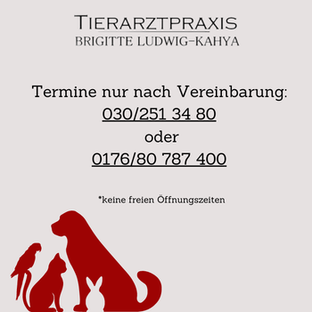 Vorschau von Tierarztpraxis Brigitte Ludwig-Kahya