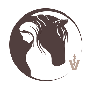 Vorschau von OsteoVet – Osteopathie & Tierarztpraxis für Pferd und Hund