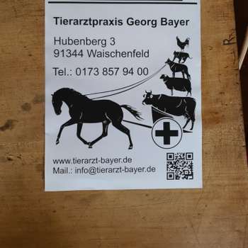 Vorschau von Tierarztpraxis Georg Bayer