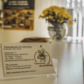 Vorschau von Tierarztpraxis Am Drömling