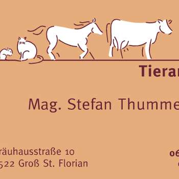 Preview of Mag. med. vet. Stefan Thummerer