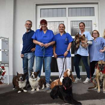 Vorschau von Tierärztliche Gemeinschaftspraxis Dr. Gudula Schaper & Dr. Alexandra Schröder