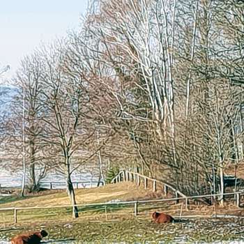 Vorschau von Hubertus Kutschke Tierarzt