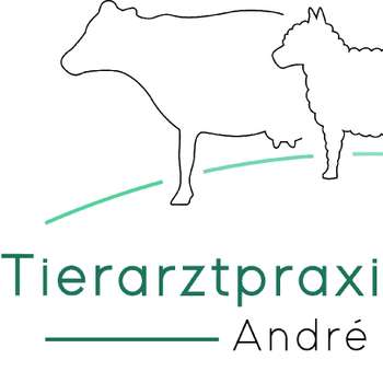 Vorschau von Tierarztpraxis Neunhofen