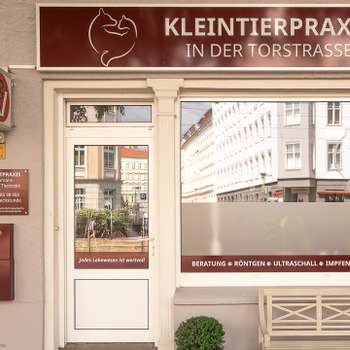 Vorschau von Christin Bechmann - Kleintierpraxis in der Torstrasse