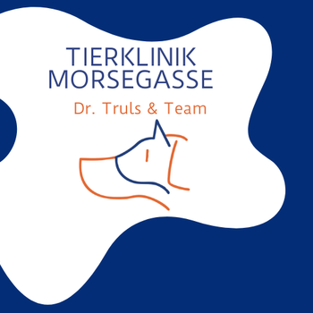 Vorschau von Tierklinik Morsegasse