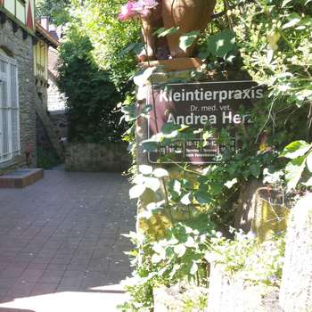 Vorschau von Dr.med.vet. Andrea Herz Tierärztin