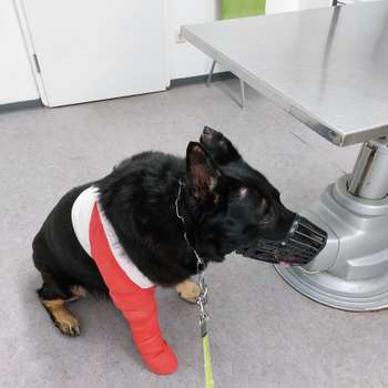 Vorschau von Tierklinik am Kaiserberg