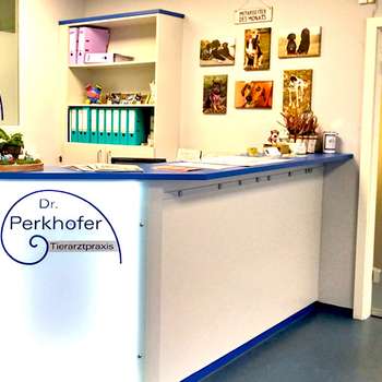 Vorschau von Tierärztin Dr. Katharina Perkhofer | Tierarztpraxis Neustadt