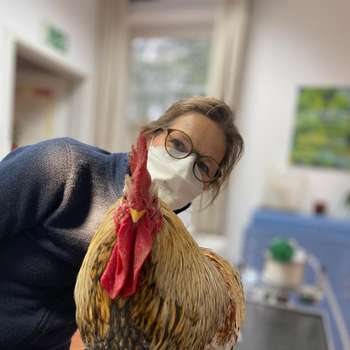 Vorschau von Praxis für Kleintiere Dr. Katja Taubhorn