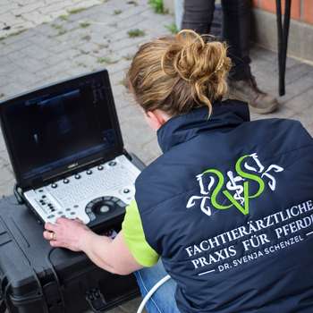 Vorschau von Fachtierärztliche Praxis für Pferde Dr. Schenzel