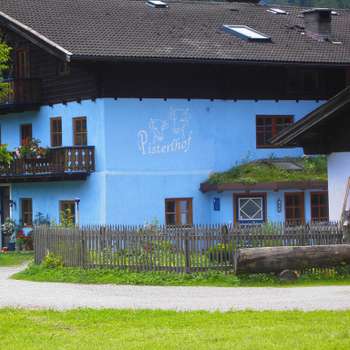Preview of Tierpension Pisterlhof - Tierärztin Dr. Karin Yaldez