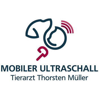 Preview of Mobiler Ultraschall