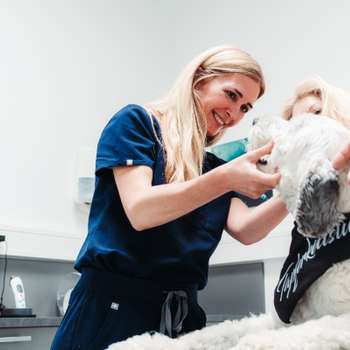 Vorschau von Tierarzt Besserer * Kleintierzentrum