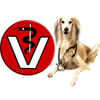 Preview of Tierarztpraxis Dr. med. vet. Christina Wolf