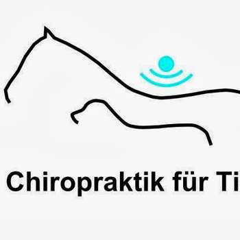 Vorschau von Tierarztpraxis für Chiropraktik Dr. med. vet. Inken Hilgenstock