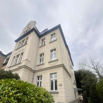 Vorschau von JOINTLY - Tierärztliche Chiropraktik für Pferd und Hund