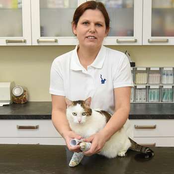 Vorschau von Tierarztpraxis Diplomtierärztin Dr. Bettina Rumpler