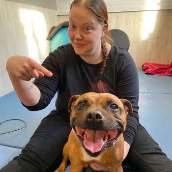 Vorschau von Hundephysiotherapie Friesland