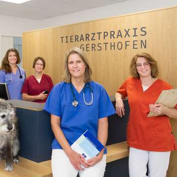 Vorschau von Dr. Sabine Lentz - Tierarztpraxis Gersthofen
