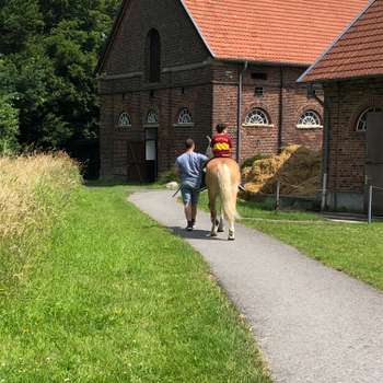 Vorschau von Tierärztliches Kompetenzzentrum Karthaus GmbH