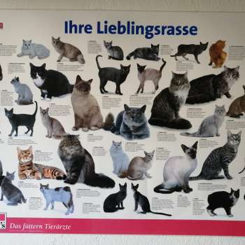 Vorschau von Ina Behnke