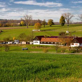 Vorschau von Tierärztliches Zentrum für Pferde in Kirchheim Altano