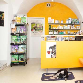Vorschau von Tierambulatorium Zirl, Dr.med.vet Stefan Ferschl, MSc, Fachtierarzt für Kleintiere