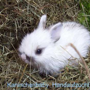 Vorschau von Tierarztpraxis von Plettenberg