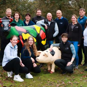 Vorschau von Großtierpraxis Zur alten Ems ⎮Tierärzte für Großtiere im Emsland und Ostfriesland