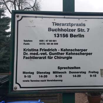 Vorschau von Kristina Friedrich-Kehnscherper