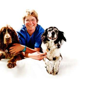 Vorschau von Kleintierarztpraxis Dr. Trixi Hollwich