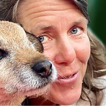 Vorschau von Tierarzt | Tanja Lücke