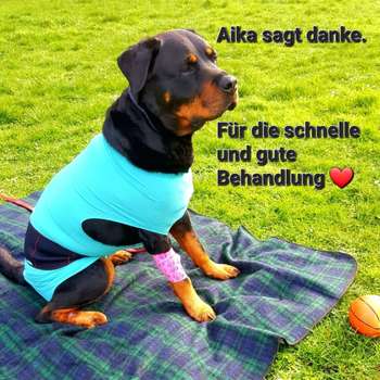 Vorschau von Tierarztpraxis Wirbelvet Mareike Unverricht