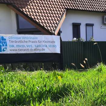 Vorschau von Dr. med vet Sascha Stiny