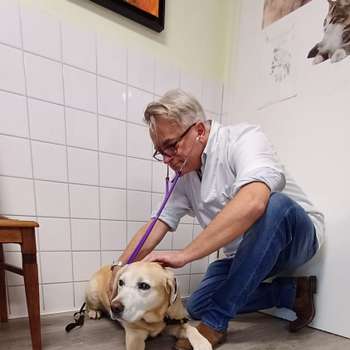 Vorschau von Dr.med.vet. Klaus Eckert Tierarzt