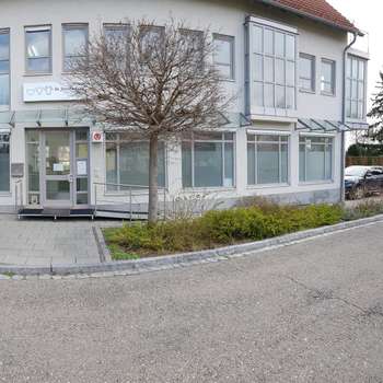 Vorschau von Dr. Alexander Steinhart