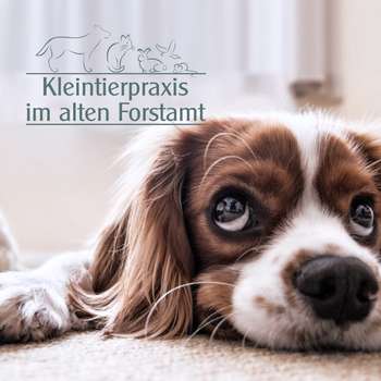 Vorschau von Kleintierpraxis im alten Forstamt