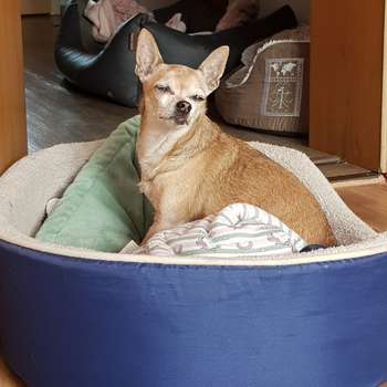 Vorschau von Tierklinik Dr Planner