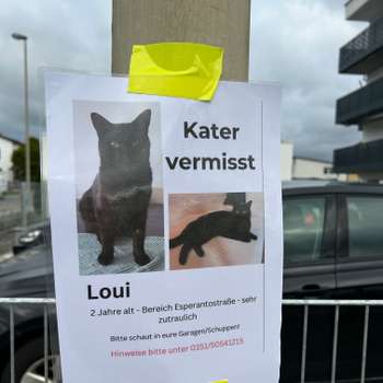 Vorschau von Kleintierpraxis Dr. vet. med. Barbara Bäumler