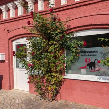 Vorschau von Tierarztpraxis Henrike Böttcher