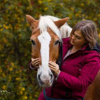 Vorschau von Kerstin Schäfer ganzheitliche Tierphysiotherapie