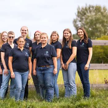Vorschau von Pferdeklinik Kottingbrunn & Tierarztpraxis Steininger