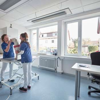 Preview of Kleintierpraxis Müllheim