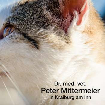 Vorschau von Dr. med. vet. Peter Mittermeier