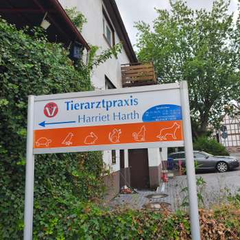 Vorschau von Harriet Harth Tierarzt
