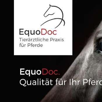 Vorschau von EquoDoc-Tierärztliche Praxis für Pferde in Wolfenbüttel, Braunschweig, Salzgitter