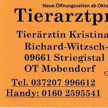 Vorschau von Kristina Küttner